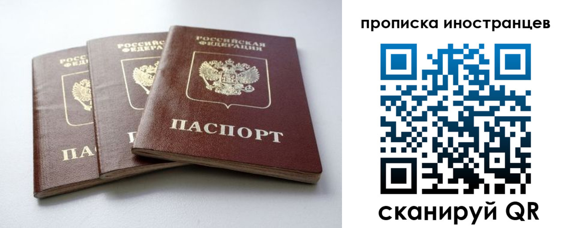 прописка 2025 в Волгодонске
